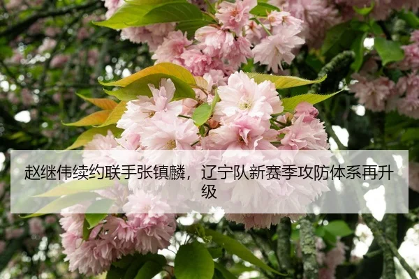 zhao-ji-wei-xu-yue-lian-shou-zhang-zhen-lin-liao-ning-dui-xin-sai-ji-gong-fang-ti-xi-zai-sheng-ji-3-323.jpg