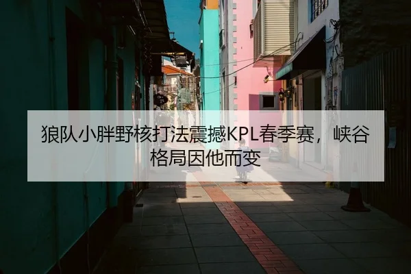 狼队小胖野核打法震撼KPL春季赛，峡谷格局因他而变